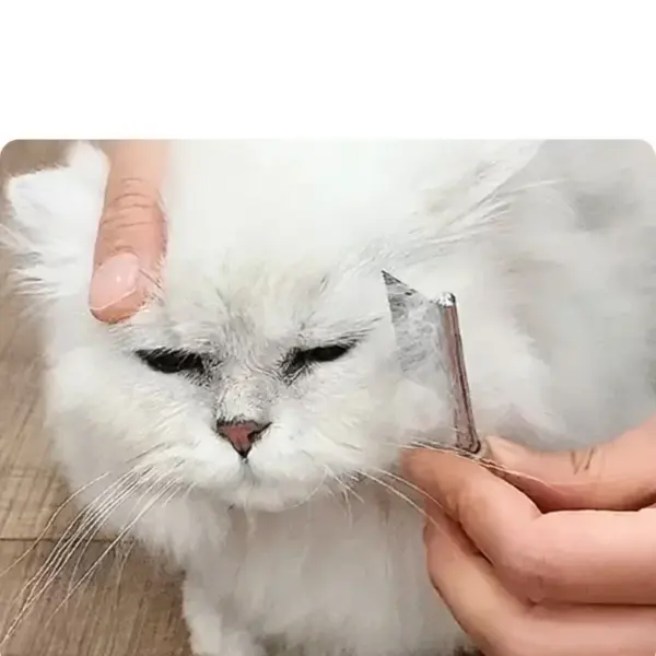 Edelstahl-Gesichtshaar-Reinigungskamm für Katzen und Hunde, Mini-Pflegebürste für Haustiere, dichter Zahn, kleiner Kamm, Hunde- und Katzenzubehör - Image 4