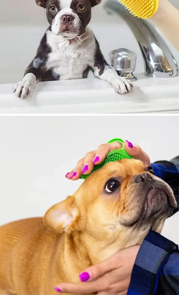 Haustierbürste Katze Hund Badebürste Haustier Hund Katze Massagebürste Hundemassagebad Katze Scheuerbürste Duschhandschuh Reinigungsprodukte Handschuhe - Image 19