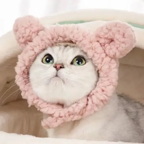 Niedlichen Bären Kaninchen Kapuze Haustier Katze Hund Zubehör Cosplay Katze Hut Winter schöne Neujahr Welpen Kopf bedeckung weichen Samt Haustiere Lieferungen - Image 15