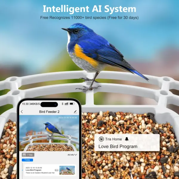 Bird Smart Feeder with Camera 2.4K Solar Low Power Night Vision IP66 Waterproof WIFI of 4G Connect Real Bird Species Feeder - Image 11