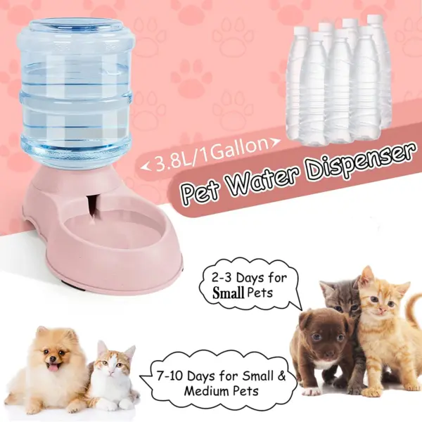 3,8 L Große Kapazität Pet Feeder Schüsseln Kleine Hundefutter Schüssel Automatische Wasser Dispenser Hund Katze Futter Wasser Schüssel Welpen haustier Zubehör - Image 11