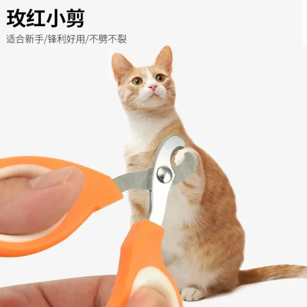 Professionelle Katze Nagel Schere Haustier Hund Nagel Clippers Zehen Klaue Trimmer Hundesalon Liefert Produkte für Kleine Hunde Hund Gadgets - Image 3