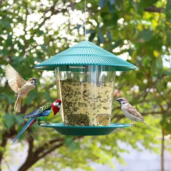 Bird Feeder For Outdoors Hanging Heavy Duty Weather Resistance Wild Bird Feeder Ideas For Bird Lovers Food Container With Rope - Image 14