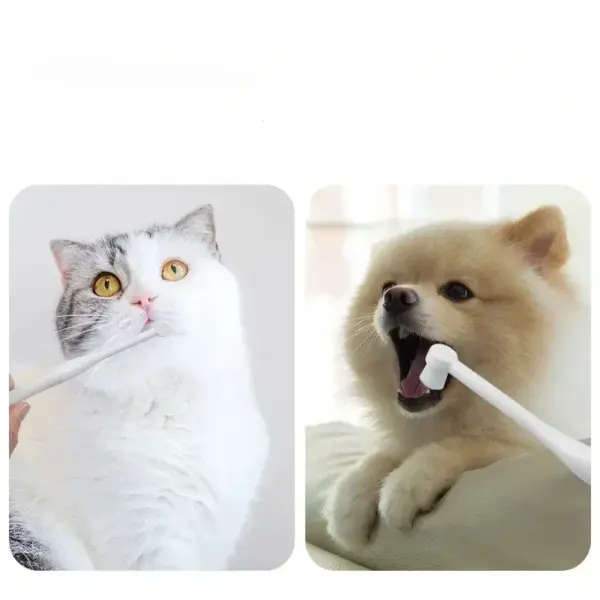 Hundezahnbürste, Katzentahnbürste, weiche Haarbürste für Hunde, saubere Hundezähne, Reinigung, weich, für Hunde und Katzen, Zubehör für Gnosti Sauj Antara - Image 2