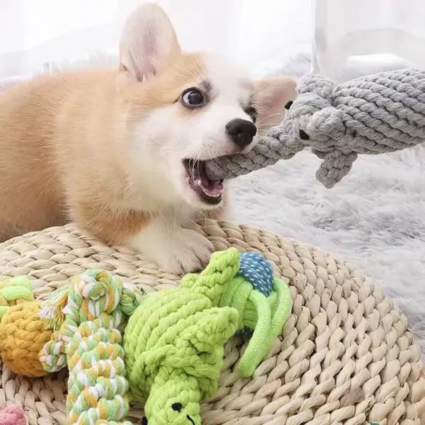 Hund Seil Spielzeug Cartoon Tier Hund Kauen Spielzeug für Kleine Große Hunde Katzen Molaren Reinigung Zähne Spielzeug Biss Widerstand Welpen Heimtierbedarf - Image 5