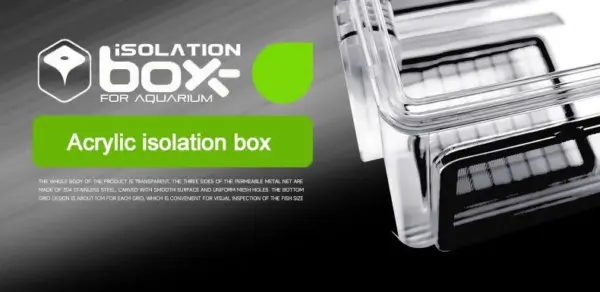 Aquarium Acrylic Fish Tank Breeder Box Isolation Box Detachable Fishbowl Ornamental Incubation Spawning Room Pneumatic Breeding - Image 8