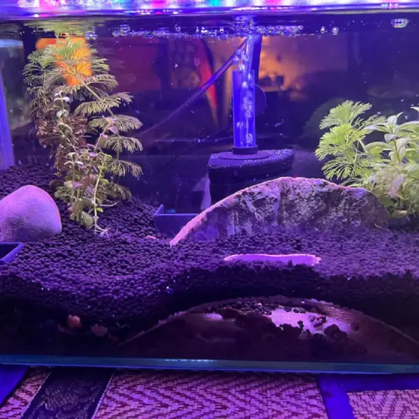 Aquarium gewölbte unterirdische Höhle für wasserförmige Haustiere bis zu Rassen, spielen und ruhen Aquarium-Ornamente - Image 15