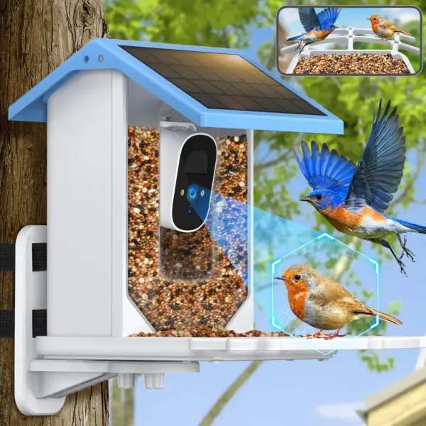 Bird Smart Feeder with Camera 2.4K Solar Low Power Night Vision IP66 Waterproof WIFI of 4G Connect Real Bird Species Feeder - Image 16
