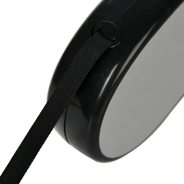 Retractable 3/5m Dog Leashes Automatic Pet Nylon Solid Traction Rope Outdoor Walking Training Lead Roulette Leash Puppy Supplies - Image 24