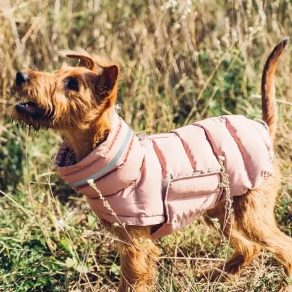 Pet Dog Winter Warm Coat Clothes Down Jacket Waterproof Fleece Vest Thicken Coat Clothing for Dogs Puppy Cats Pet costume - Image 16