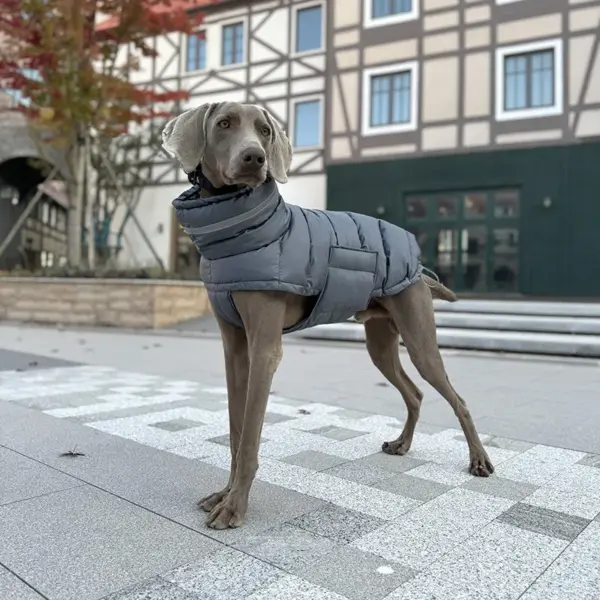 Pet Dog Winter Warm Coat Clothes Down Jacket Waterproof Fleece Vest Thicken Coat Clothing for Dogs Puppy Cats Pet costume - Image 6