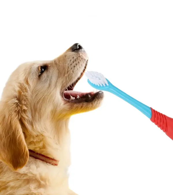 Haustier Doppel Kopf Hund Zahnbürste Haustier Zahn Reinigung Werkzeuge Zahnpflege für Haustier Katze Pflege Zahnbürste Pet Liefert - Image 8