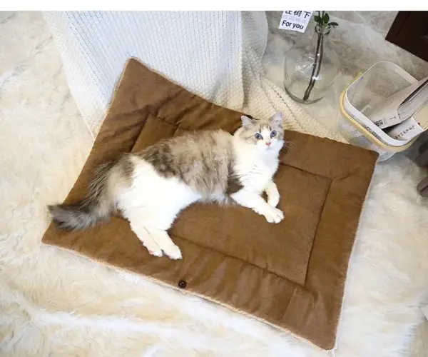 Katzen betten für den Winter warmes Zubehör Kätzchen häuser Hunde bett Korb matte Dinge Kissen Haus Welpen waren Haustier bedarf - Image 15