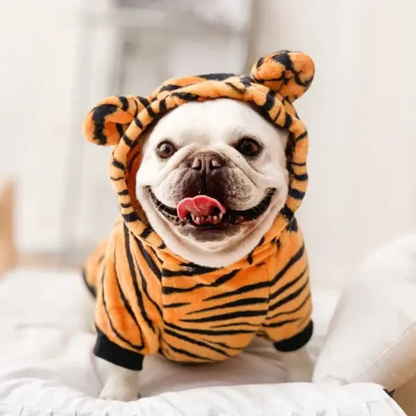 Soft Warm Dog Clothes Fleece Pet Dogs Jumpsuits Pet Clothing for Small Dogs Puppy Cats Clothes Chihuahua Yorkshire Costume Coat - Image 21