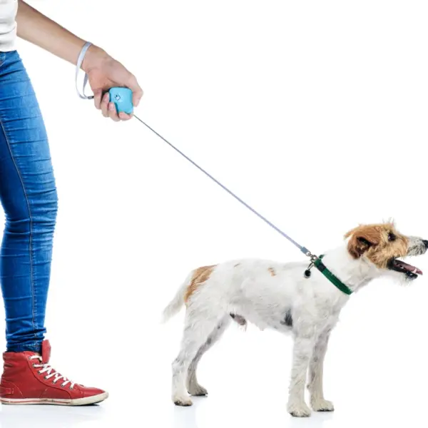 Retractable 2M Dog Leash Automatic Freely Dog Puppy Cat Traction Rope Belt Dog Leash - Image 5