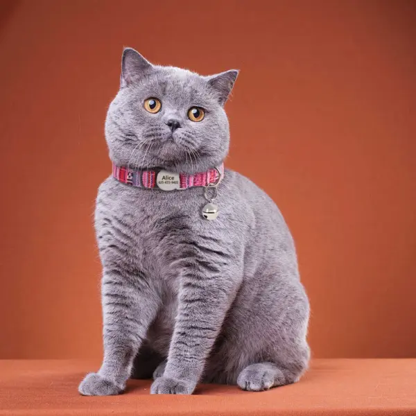 Personalisiertes Nylon-Katzenhalsband mit Schnellverschluss für Welpen und Katzen, Sicherheitshalsbänder für Haustiere, Kätzchen, kostenlos graviert, verstellbar - Image 25