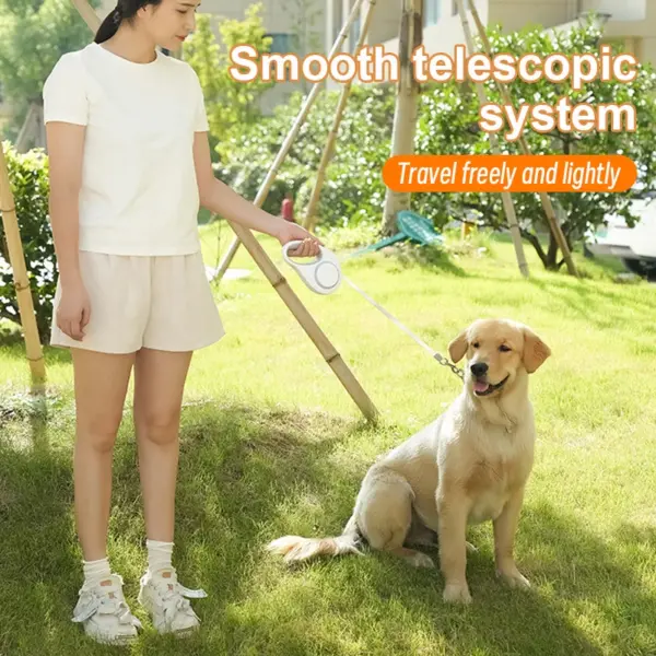 Automatic Retractable Dog Leash 5m LED Light Scalable Dog For Puppy Walking Running Outdoor Travel Hiking Traction Nylon Strap - Image 2