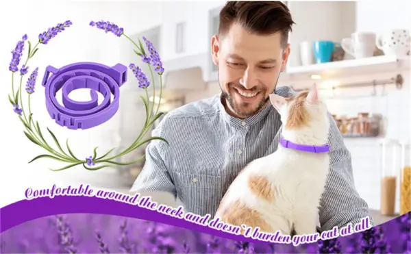 Beruhigendes Haustierhalsband für Katzen und Hunde, verstellbare Angst-Pheromon-Reduzierung, Haustierhalsband, langlebig, natürlich, ruhig, entspannen, beruhigende Halsbänder - Image 10