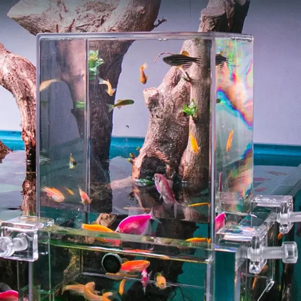 Aquarien Unterdruck Aquarium Klare Luft Aquarium Extender Ökologische Landschaftsbau Dekoration Aquarium Schüssel Isolierung - Image 5