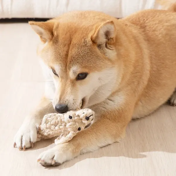 Hund Seil Spielzeug Cartoon Tier Hund Kauen Spielzeug für Kleine Große Hunde Katzen Molaren Reinigung Zähne Spielzeug Biss Widerstand Welpen Heimtierbedarf - Image 23