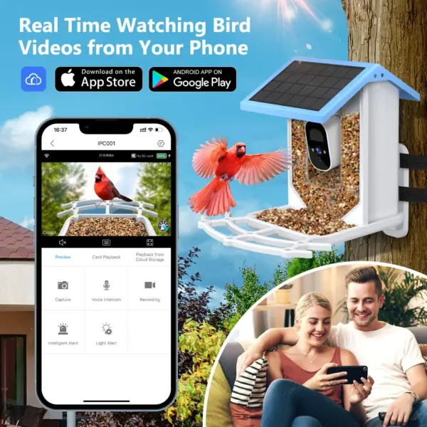 Bird Smart Feeder with Camera 2.4K Solar Low Power Night Vision IP66 Waterproof WIFI of 4G Connect Real Bird Species Feeder - Image 13
