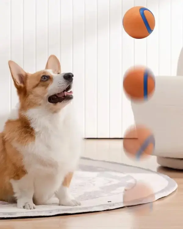 Hundespielzeugball, Hunde-Apportierungsball, Spielzeug, robuster Haustierball, Welpen-Kauspielzeug, fester, elastischer Springball, Haustierzubehör für große, mittelgroße und kleine - Image 13