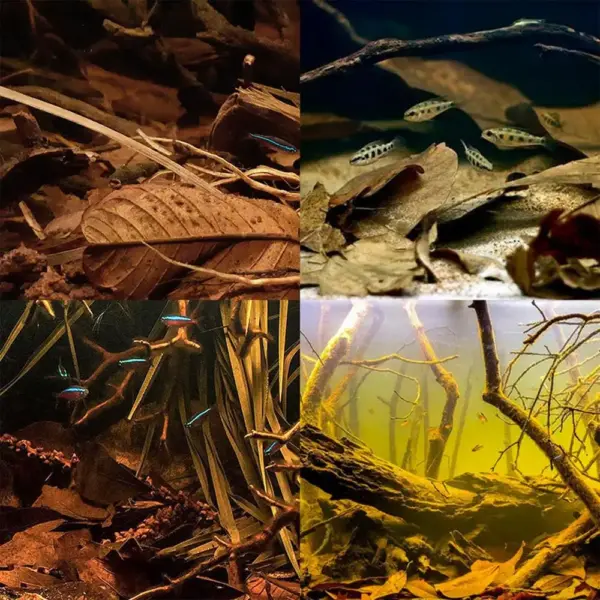 Aquarium Alder Cones Natural Fish Tank's pH Lowerer Aquarium Decorations & Accessories Multifunctional Fish Tanks Botanicals - Image 11