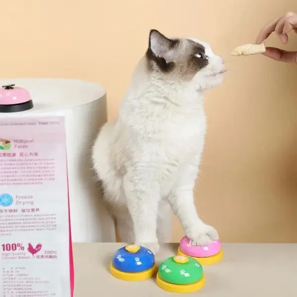 Hunde trainieren Glocken Katze Mahlzeit Glocke Welpen Fütterung Anruf Glocke Kind Hand Fähigkeit Training interaktive Katzen Spielzeug Haustier Training Knopf - Image 4