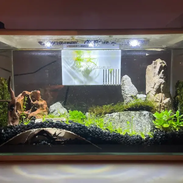 Aquarium gewölbte unterirdische Höhle für wasserförmige Haustiere bis zu Rassen, spielen und ruhen Aquarium-Ornamente - Image 11
