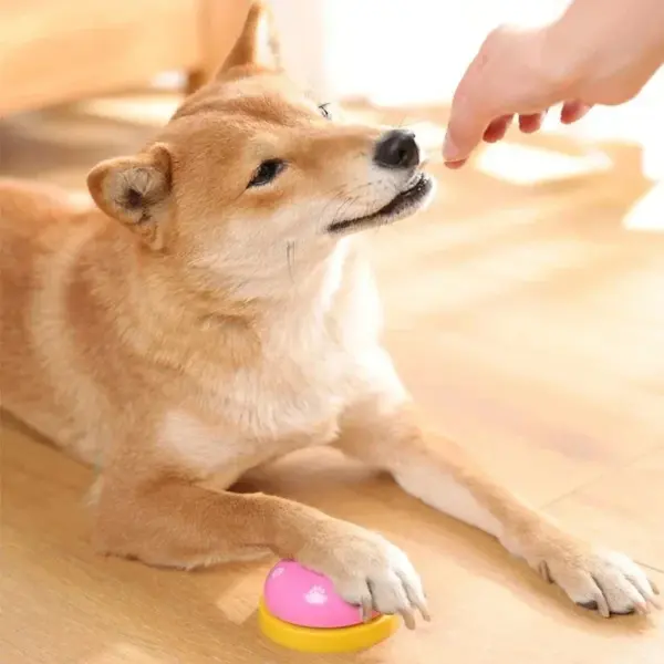 Hunde trainieren Glocken Katze Mahlzeit Glocke Welpen Fütterung Anruf Glocke Kind Hand Fähigkeit Training interaktive Katzen Spielzeug Haustier Training Knopf - Image 3