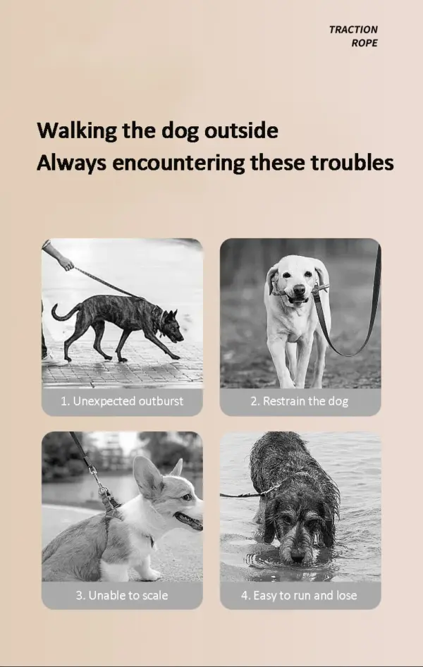 Automatic Retractable Dog Leash 5m LED Light Scalable Dog For Puppy Walking Running Outdoor Travel Hiking Traction Nylon Strap - Image 12