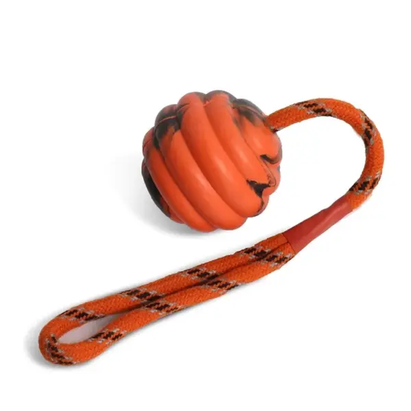 Hunde ball Spielzeug Hüpfburg Gummiball Kau spielzeug Haustier Hund Spielzeug ball mit Schnur interaktives Spielzeug für große Hund Welpen Spiele Spielzeug - Image 7