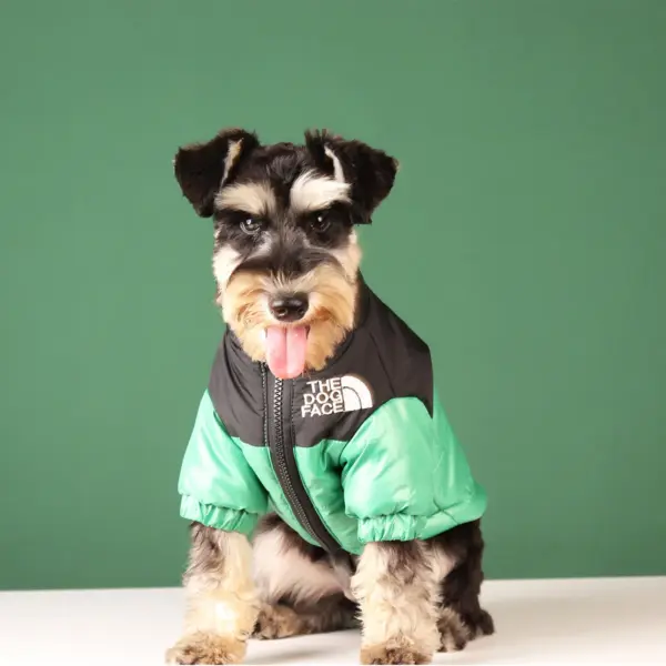 Large Winter Pet Dog Clothes French Bulldog Puppy Warm Windproof Jacket Small Medium Dog Reflective Coat Chihuahua Pet Outfits - Image 16