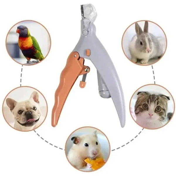 Professionelle Pet Nagel Clipper Schere Mit LED Licht Katze Hund Nagel Clippers Werkzeug Schere Nagel Toeclaw Cutter Schere Pet Suppl - Image 2