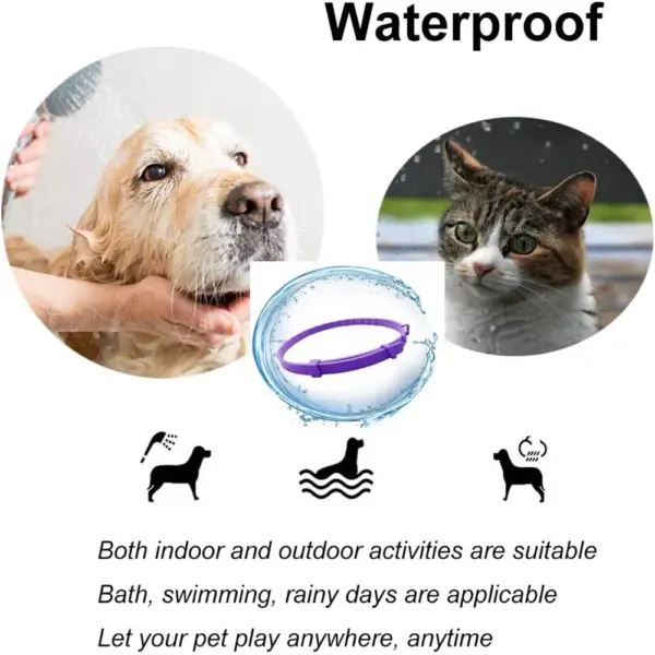 Beruhigendes Haustierhalsband für Katzen und Hunde, verstellbare Angst-Pheromon-Reduzierung, Haustierhalsband, langlebig, natürlich, ruhig, entspannen, beruhigende Halsbänder - Image 5