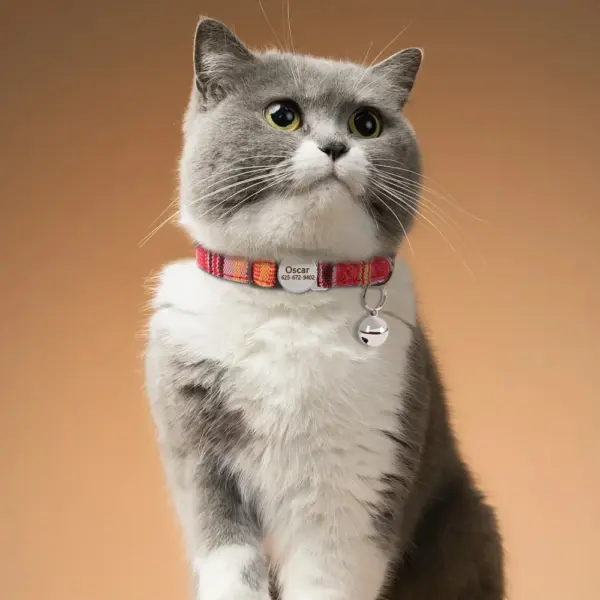 Personalisiertes Nylon-Katzenhalsband mit Schnellverschluss für Welpen und Katzen, Sicherheitshalsbänder für Haustiere, Kätzchen, kostenlos graviert, verstellbar - Image 22