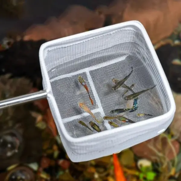 Reinigungswerkzeuge für Aquarien, Aquarium-Fischnetze, kleine Fische und Garnelennetze, Aquarium-Fischernetze - Image 2