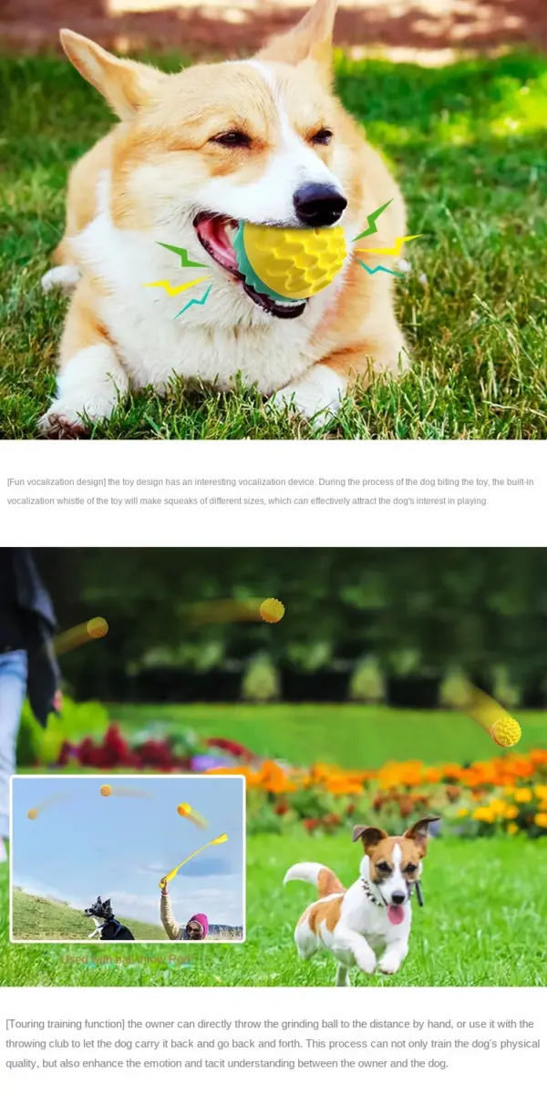 Haustier-Spielzeugball, kaubar, Backenzahn, Zahnreinigung, bissfestes Katzenspielzeug, kaubar und klingend, elastischer Hundespielzeugball - Image 8