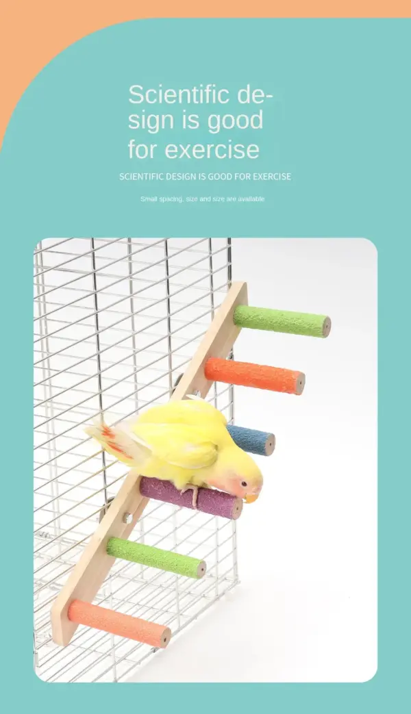 4/6/8 Step Bird Climbing Ladder Pet Interactive Ladder Parrot Grinding Claws and Teeth Climbing Toy Interactive Bird Accessories - Image 17