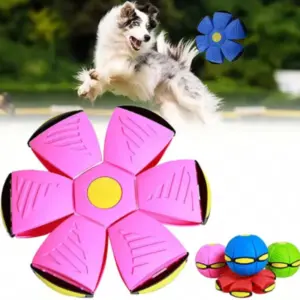 Haustier-Hüpfball, Trittball, fliegende Untertasse, verformter Ball, zwei Formen, hüpfender Hundeball im Freien, Spielzeug, Geschenk