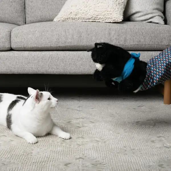 Katzenpuppe, Wrestler, Katzen-Wrestling-Spielzeugpuppe, interaktive Handpuppe mit robuster Polsterung für sicheres Spielen, Katzen- und Hundespielzeug - Image 3