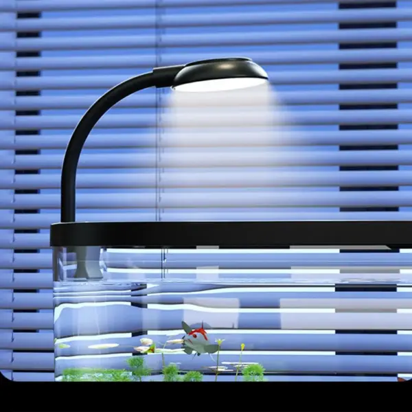 Aquarium Kit Small Beginner Fish Tank Decorative Fish Tank For Terrapin Tortoise Turtle Household Clear Aquarium - Image 10