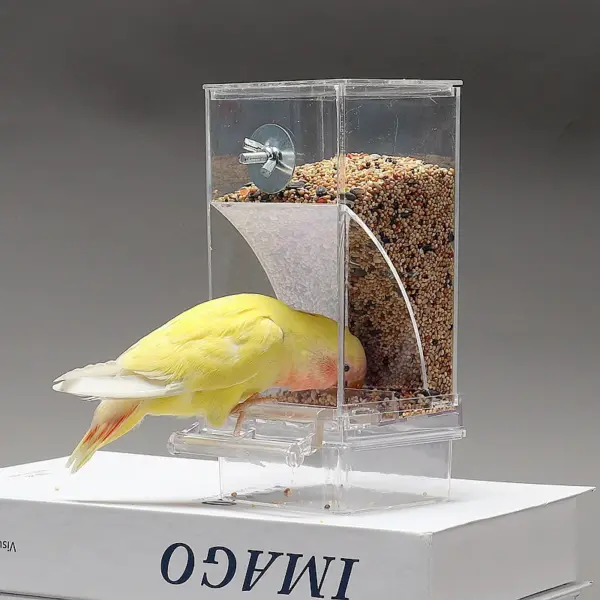 Parrot Bird FeederSpill-proof Automatic DispenserSplash-proof Outside FeederBird FeederTiger PeonyPhoenixBird Supplies - Image 2