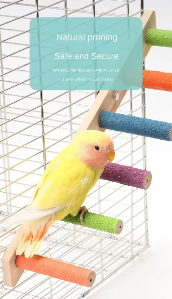 4/6/8 Step Bird Climbing Ladder Pet Interactive Ladder Parrot Grinding Claws and Teeth Climbing Toy Interactive Bird Accessories - Image 20