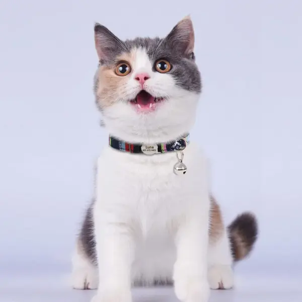 Personalisiertes Nylon-Katzenhalsband mit Schnellverschluss für Welpen und Katzen, Sicherheitshalsbänder für Haustiere, Kätzchen, kostenlos graviert, verstellbar - Image 5