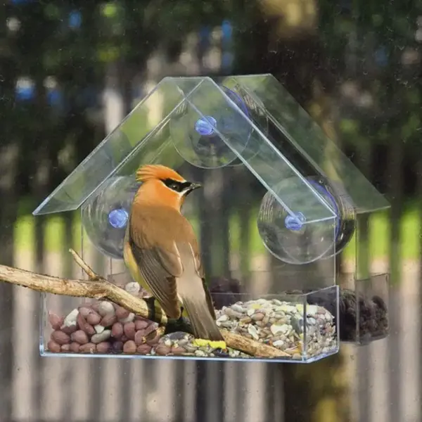Outdoor Window Birdfeeder Transparent Food Dispenser Popular Bird Feeder for Finches Chickadees with Water Feature - Image 7