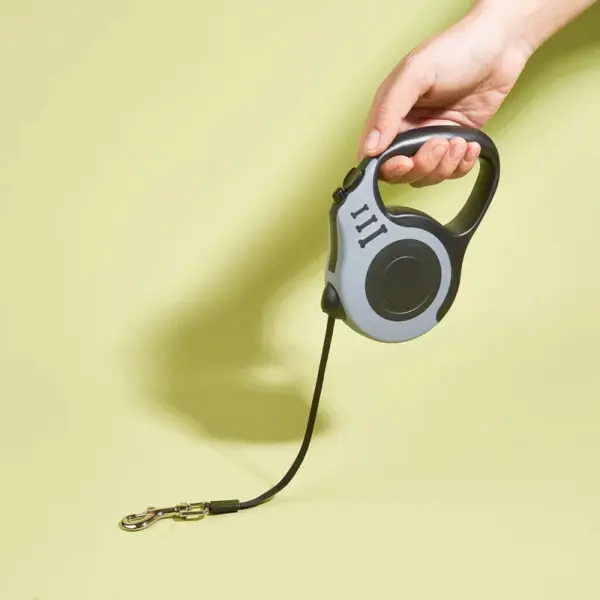 Retractable Dog Leash - 5m Automatic Strong Nylon Lead For Small/Medium Dogs & Cats, Durable Pet Traction Rope Supplies - Image 9