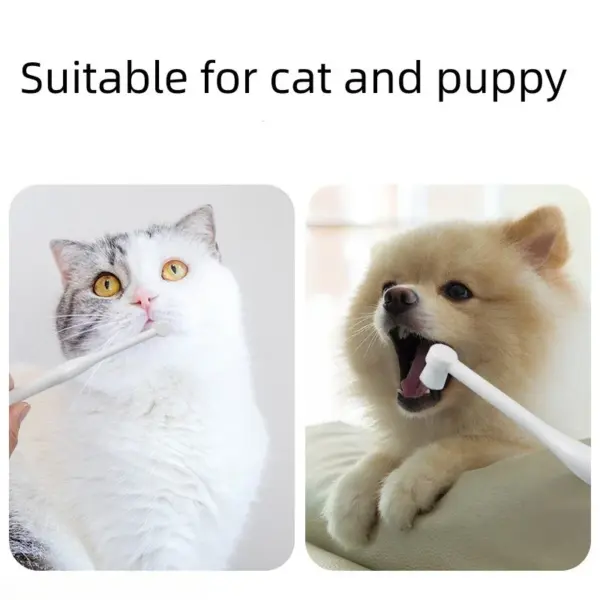 Hundezahnbürste, Katzentahnbürste, weiche Haarbürste für Hunde, saubere Hundezähne, Reinigung, weich, für Hunde und Katzen, Zubehör für Gnosti Sauj Antara - Image 10