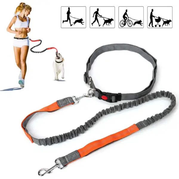 Retractable Dog Leash with Adjustable Waist Rope Hand Free Running Jogging Cycling Big Dogs Pet Elasticity Lead Pet Supplies - Image 11
