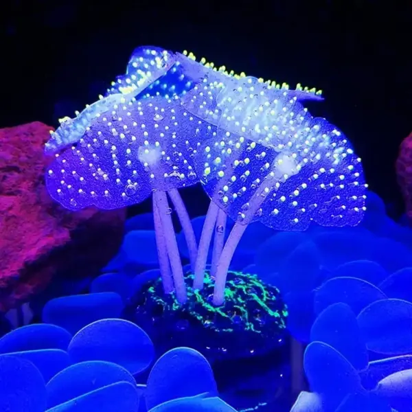 Aquarium Zubehör Anemone Unkraut Fisch Zubehör Kunststoff dekorieren Dekoration simulieren künstlich leuchtende Pflanzen Wasser - Image 12